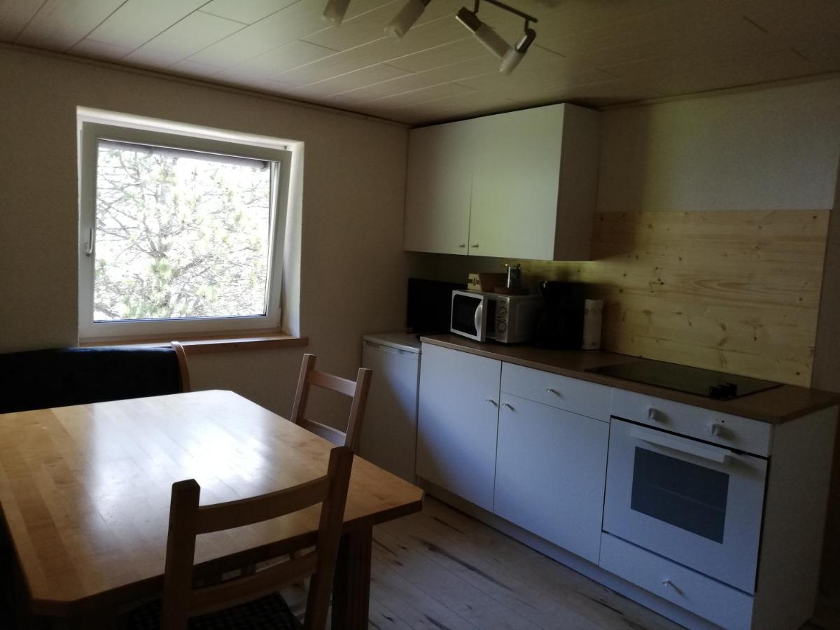 Apartment Haider 1 Obertraun Zewnętrze zdjęcie